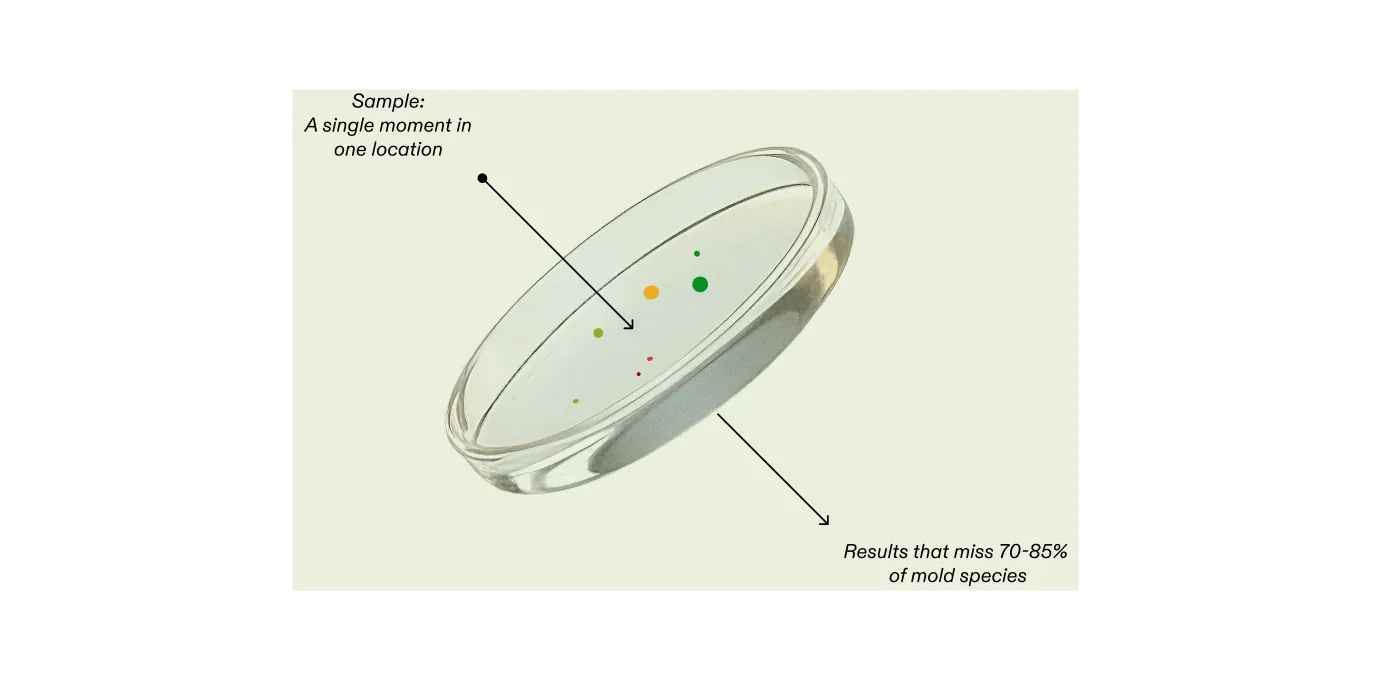 A petri dish sampled at a single moment in one location — results that miss much of what's there